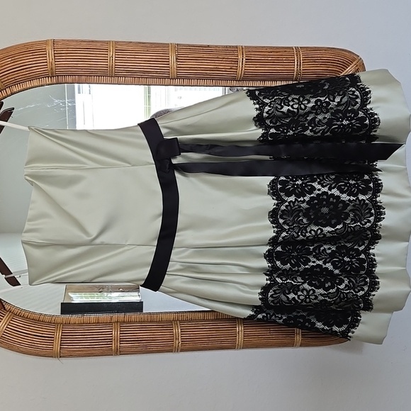 Elegant Satin Pastel Green & Black Lace A Line Sweatheart Knee Length Prom Dress - Picture 1 of 11